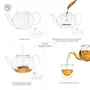 Dancing Leaf Clasico Glass Tea Pot with Removable Glass Infuser & Matching Lid | Heat Resistant Borosilicate Glass | Perfect for Brewing Loose Tea | Serves 6 Cups | Capacity - 1100 ml, 4 image