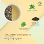 Dancing Leaf Tulsi Mint Tranquility | Green Tea Tulsi leaves & Mint leaves | Green Tea Blend | Loose Leaf Pouch (50gms), 3 image