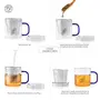 Dancing Leaf Taza Transparent Tea Mug with Heat Resistant Stainless Steel Infuser & Lid Perfect Tea Cup for Office and Home Uses Suitable for Teabags Loose Leaf & Fine Leaf Tea (300ml), 4 image