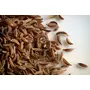 Naturesmith Carraway Seeds (SAH Jeera) 60 Gram, 7 image