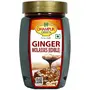 Dhampure Speciality Natural Ginger Molasses 500g