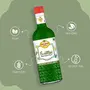Dhampure Speciality Fresh Mint 600ml (2 x 300ml) | Mocktail Syrup Bar Mocktails Cocktails Syrup, 6 image