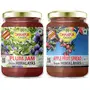 Dhampure Speciality Mixed Fruits Jam Plum Jam Apple Spread No Added Color & Preservatives with Fresh Fruits of Himalayas and Sugar Cane Juice No Added Sugar Sugar Free Jam 600grams