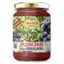 Dhampure Speciality Mixed Fruit Jam Gift Box - Strawberry Spread Apricot Jam Plum Jam and Kiwi Spread Natural Himalayan Fruits No Chemical Sugar Preservatives Gift Box 1.2Kg, 4 image