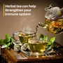 Dhampurgreen Herbal Tea Kadha 500g (2 x 250g) | Chai Powder for Immunity Booster Boosting Gut for Health Kaadha Tea for Cold Fever, 2 image