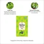 Typhoo Traditional Tulsi Green Tea Bags (100 Tea Bags), 5 image