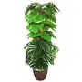 Fourwalls Artificial Miniature PVC Silk Floor Plant with Big Leaves and Without Pot (155 cm Tall Green)