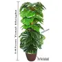 Fourwalls Artificial Miniature PVC Silk Floor Plant with Big Leaves and Without Pot (155 cm Tall Green), 2 image