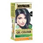 Indus Valley Organically Natural Damage Free Permanent Gel Hair Color Black 1.00 For Long Lasting Effects & 100% Grey Coverage