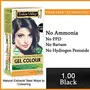 Indus Valley Organically Natural Damage Free Permanent Gel Hair Color Black 1.00 For Long Lasting Effects & 100% Grey Coverage, 3 image