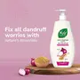 Nyle Naturals Anti Dandruff 2 In1 Shampoo With Active Conditioner With Onion and Methi Gentle and soft shampoo PH balanced and Paraben free For Men and Women 800ml, 3 image