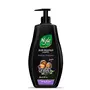 Nyle Naturals Volume Enhance Anti Hairfall Shampoo With Reetha And Blackberry Gentle and soft shampoo PH balanced and Paraben free For Men and Women 400ml
