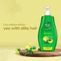 Nyle Naturals Silky and Smooth Anti Hairfall Shampoo With Tulsi And Amla 400ml Green (NYAM0400SNS01R), 3 image