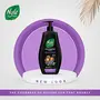 Nyle Naturals Volume Enhance Anti Hairfall Shampoo With Reetha And Blackberry Gentle and soft shampoo PH balanced and Paraben free For Men and Women 800ml, 6 image