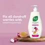 Nyle Naturals Anti Dandruff 2 In1 Shampoo With Active Conditioner With Onion and Methi Gentle and soft shampoo PH balanced and Paraben free For Men and Women 400ml, 3 image