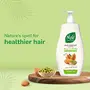 Nyle Naturals Strong & Healthy Anti Hairfall 2 In1 Shampoo With Active Conditioner With Almonds And Green Gram Sprouts Gentle and soft shampoo PH balanced and Paraben free For Men and Women 800ml, 3 image