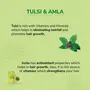 Nyle Naturals Silky and Smooth Anti Hairfall Shampoo With Tulsi And Amla 400ml Green (NYAM0400SNS01R), 4 image