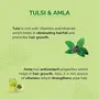 Nyle Naturals Silky and Smooth Anti Hairfall Shampoo With Tulsi And Amla 800ml Green (NYAM0800SNS01R), 4 image