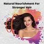Nyle Anti-Hairfall Herbal Shampoo 400ml, 4 image