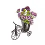 Iron Rickshaw & Flower Stand/Flower Vase Size-lxbxh-13x6x11 Inch, 2 image