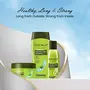 Trichup Healthy Long & Strong Hair Oil - with The Natural Goodness of Sesame & Coconut oil and Enriched with Aloe Vera & Neem (200ml), 6 image
