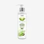 Beutanic Meghna Conditioner For Silky Smooth Hair Enriched With Goodness of Aloe Vera Avocado & Cocunut Oil
