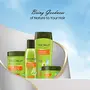 Trichup Hair Fall Control Herbal Shampoo - Enriched Amla Licorice & Bhringaraj - Help to Reduce Hair Fall & Thinning Hair (200ml), 6 image