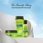 Trichup Anti- Dandruff Herbal Shampoo - Enriched with Neem Rosemary & Tea Tree Oil - Protect Scalp Skin from Causes of Dandruff (200ml), 6 image