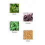 Vegetal HairWell -An Hair Fall Treatment And Regrowth Product 100g., 4 image