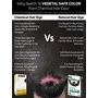 Vegetal Organic Beard Hair Dye For Men -Black 25g., 4 image