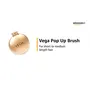 VEGA Compact Hair Brush with Foldable Mirror (R2-FM) Color may vary, 2 image