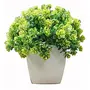 PUHUHP Artificial Beautiful Cute Mini Flower Plants with Pot Plastic Green Mix Grass Fake Topiaries Shrubs for Home Decor Washroom and Office Decor Christmas Diwali and Festive Decoration Set of Two, 2 image