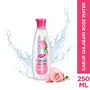 Dabur Gulabari Premium Rose Water with No Paraben for Cleansing and Toning 250ml, 3 image
