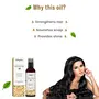 Sirona Bhringraj Anti Hair Fall Oil with Castor Oil & Neem for Men & Women - 100 ml | Controls Hair Fall - No Mineral Oil No Silicones | Dermatologically Tested, 3 image