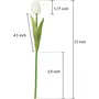 SATYAM KRAFT Artificial Foam Flowers Tulip Sticks for Home Decoration and Craft (White 10 Pieces), 6 image