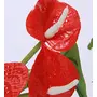FOUR WALLS Fourwalls Artificial Anthurium Flowers in a Plastic Vase (20 cm Red Set of 2), 5 image