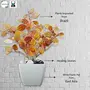 Caajib Decor's Artificial Orange Papad Leave Plants in Imported Brazilian White Plastic Pot with Stone for Home Office & Dining Room Decoration | Fire Retardant & UV Protected, 2 image