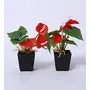 FOUR WALLS Fourwalls Artificial Anthurium Flowers in a Plastic Vase (20 cm Red Set of 2), 2 image