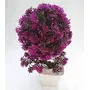 Discount4product Plastic Artificial Flower with Pot (15 cm x 10 cm x 20 cm Purple flower-Purple-VS28), 2 image