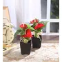 FOUR WALLS Fourwalls Artificial Anthurium Flowers in a Plastic Vase (20 cm Red Set of 2), 6 image