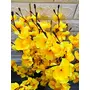 VTMT PetalshueÂ® Artificial Yellow Blossom Flower Bunch for Home Decor Office | Artificial Flower Bunches for Vases (18 Sticks 45 cm), 2 image