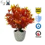 Caajib Decors | Artificial Golden Cherry Plant with Stainless Steel Pot for Home & Office Decoration, 5 image