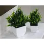 PUHUHP Artificial Beautiful Cute Mini Flower Plants with PlasticPot Green Grass Leaf Fake Topiaries Shrubs for Home Decor Washroom and Office Decor Christmas Diwali and Festive Decoration Set of 2, 3 image