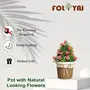 Foliyaj Artificial Bonsai Tree with Pot with Pot (Multicolour), 6 image
