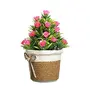 Foliyaj Artificial Bonsai Tree with Pot with Pot (Multicolour), 3 image