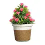 Foliyaj Artificial Bonsai Tree with Pot with Pot (Multicolour), 4 image