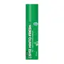 Smyle Sviz Minto Natural Mouth Freshner Pocket Spray (Paan) - 15 gm - 175 Sprays