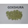 TATKSHANA AYURVEDA Gokshura Churna- 100 g, 2 image