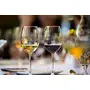 Ventuos Glass Wine Glasses - Set of 6 Transparent 200ml, 4 image