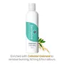Dermavive Intimate Wash - Daily Fresh Feminine Wash for Women | Soap-free pH-Balanced and Gynecologist Tested 250ml, 2 image